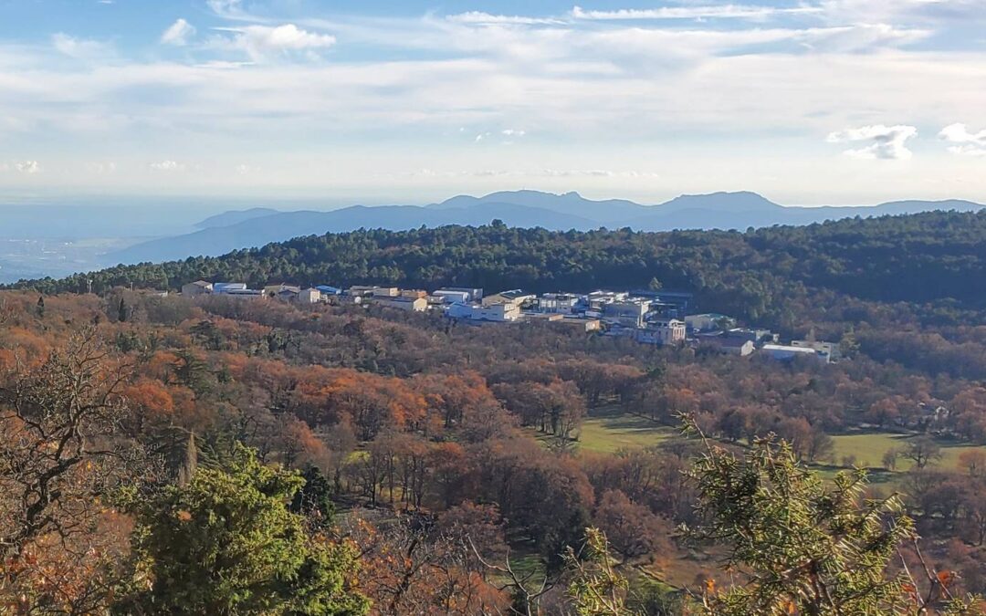 Saint-Vallier-de-Thiez